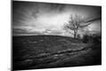 Photographic Print