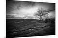 Photographic Print