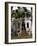 Derelict Hospital, Sao Tomé-Camilla Watson-Framed Photographic Print