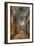 Derelict Interior with Clock-Nathan Wright-Framed Photographic Print