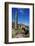 Derelict Old Sugar Mill, Nevis, St. Kitts and Nevis-Robert Harding-Framed Photographic Print