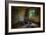 Derelict Room with Chair-Nathan Wright-Framed Photographic Print