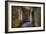 Derelict Room-Nathan Wright-Framed Photographic Print