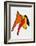 Derrier le Mirroir, no. 141: Stabiles VI-Alexander Calder-Framed Collectable Print