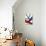 Derrier le Mirroir, no. 173: Composition III-Alexander Calder-Collectable Print displayed on a wall