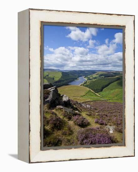 Derwent Edge, Ladybower Reservoir, and Purple Heather Moorland in Foreground, Peak District Nationa-Neale Clark-Framed Premier Image Canvas