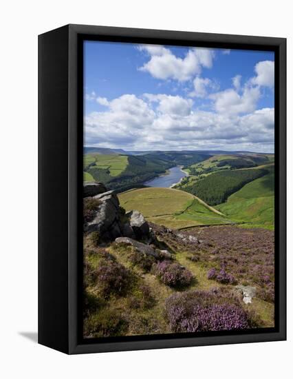 Derwent Edge, Ladybower Reservoir, and Purple Heather Moorland in Foreground, Peak District Nationa-Neale Clark-Framed Premier Image Canvas