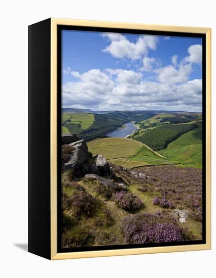 Derwent Edge, Ladybower Reservoir, and Purple Heather Moorland in Foreground, Peak District Nationa-Neale Clark-Framed Premier Image Canvas