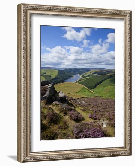 Derwent Edge, Ladybower Reservoir, and Purple Heather Moorland in Foreground, Peak District Nationa-Neale Clark-Framed Photographic Print