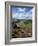 Derwent Edge, Ladybower Reservoir, and Purple Heather Moorland in Foreground, Peak District Nationa-Neale Clark-Framed Photographic Print