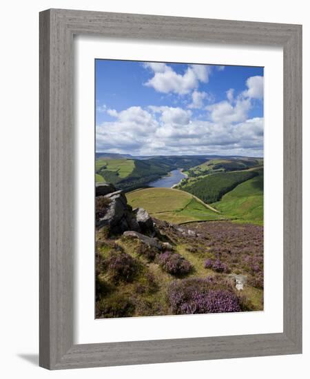 Derwent Edge, Ladybower Reservoir, and Purple Heather Moorland in Foreground, Peak District Nationa-Neale Clark-Framed Photographic Print