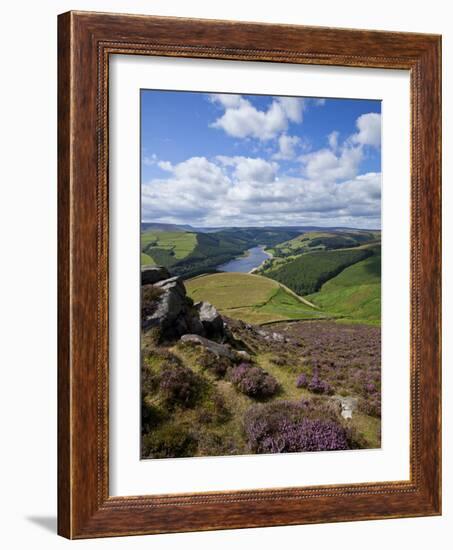 Derwent Edge, Ladybower Reservoir, and Purple Heather Moorland in Foreground, Peak District Nationa-Neale Clark-Framed Photographic Print