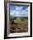 Derwent Edge, Ladybower Reservoir, and Purple Heather Moorland in Foreground, Peak District Nationa-Neale Clark-Framed Photographic Print