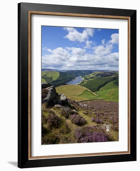 Derwent Edge, Ladybower Reservoir, and Purple Heather Moorland in Foreground, Peak District Nationa-Neale Clark-Framed Photographic Print