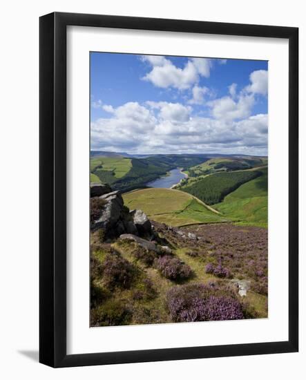 Derwent Edge, Ladybower Reservoir, and Purple Heather Moorland in Foreground, Peak District Nationa-Neale Clark-Framed Photographic Print