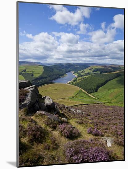Derwent Edge, Ladybower Reservoir, and Purple Heather Moorland in Foreground, Peak District Nationa-Neale Clark-Mounted Photographic Print