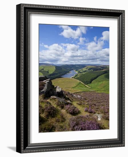 Derwent Edge, Ladybower Reservoir, and Purple Heather Moorland in Foreground, Peak District Nationa-Neale Clark-Framed Photographic Print