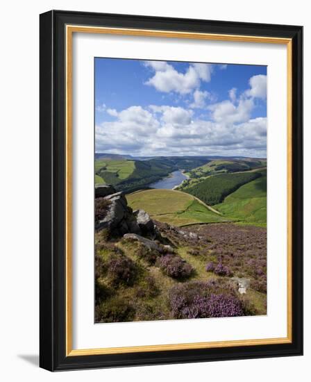 Derwent Edge, Ladybower Reservoir, and Purple Heather Moorland in Foreground, Peak District Nationa-Neale Clark-Framed Photographic Print