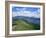 Derwent Water and Lonscale Fell from Cat Bells, Lake District National Park, Cumbria, England-Neale Clarke-Framed Photographic Print