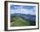 Derwent Water and Lonscale Fell from Cat Bells, Lake District National Park, Cumbria, England-Neale Clarke-Framed Photographic Print