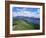 Derwent Water and Lonscale Fell from Cat Bells, Lake District National Park, Cumbria, England-Neale Clarke-Framed Photographic Print