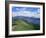 Derwent Water and Lonscale Fell from Cat Bells, Lake District National Park, Cumbria, England-Neale Clarke-Framed Photographic Print