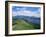 Derwent Water and Lonscale Fell from Cat Bells, Lake District National Park, Cumbria, England-Neale Clarke-Framed Photographic Print