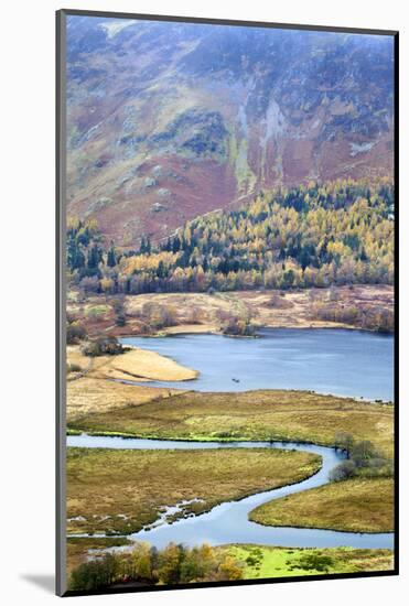 Derwentwater and Slopes of Catbells from Surprise View, Lake District Nat'l Pk, Cumbria, UK-Mark Sunderland-Mounted Photographic Print