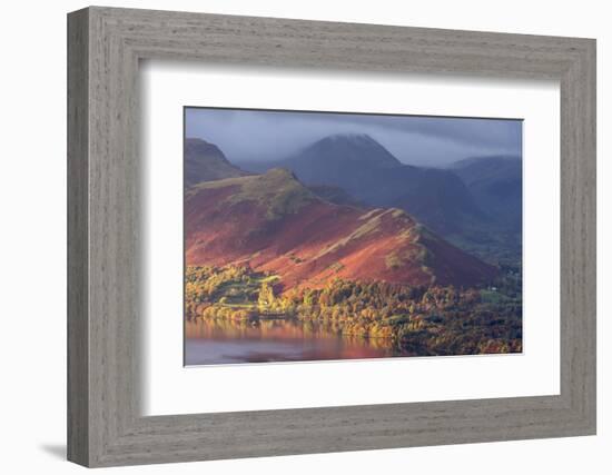 Derwentwater in early morning light, the Lake District, UK-Ross Hoddinott-Framed Photographic Print