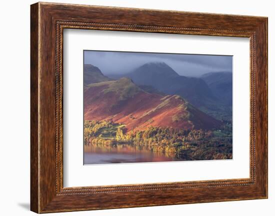 Derwentwater in early morning light, the Lake District, UK-Ross Hoddinott-Framed Photographic Print