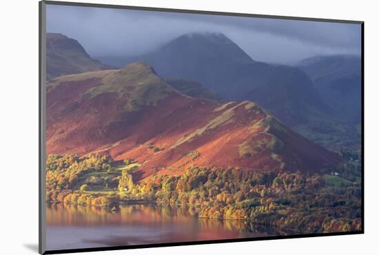 Derwentwater in early morning light, the Lake District, UK-Ross Hoddinott-Mounted Photographic Print