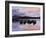 Derwentwater, Lake District, England, UK-Nadia Isakova-Framed Photographic Print