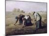 Des Glaneuses (The Gleaners)-Jean-Fran?ois Millet-Mounted Giclee Print