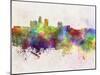 Des Moines Skyline in Watercolor Background-paulrommer-Mounted Art Print