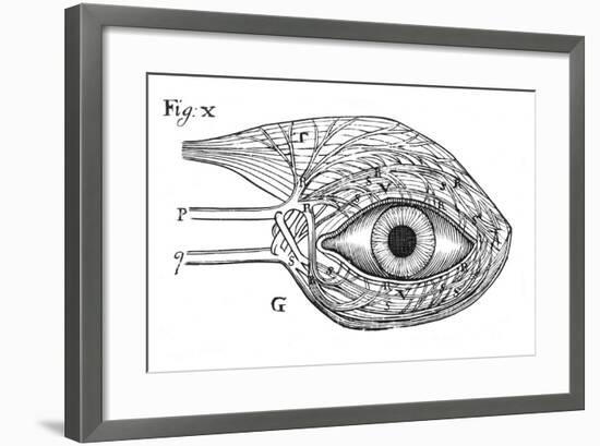 Descartes' Idea of the 'Hydraulic' Action of the Nerves, 1692-null-Framed Giclee Print