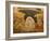 Descent of Christ into Limbo, Church of St. Saviour in Chora, Istanbul, Turkey, Europe-Godong-Framed Photographic Print
