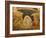 Descent of Christ into Limbo, Church of St. Saviour in Chora, Istanbul, Turkey, Europe-Godong-Framed Photographic Print