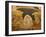 Descent of Christ into Limbo, Church of St. Saviour in Chora, Istanbul, Turkey, Europe-Godong-Framed Photographic Print