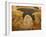 Descent of Christ into Limbo, Church of St. Saviour in Chora, Istanbul, Turkey, Europe-Godong-Framed Photographic Print