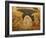 Descent of Christ into Limbo, Church of St. Saviour in Chora, Istanbul, Turkey, Europe-Godong-Framed Photographic Print