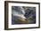 Deschutes Rapids in Bend-David Lorenz Winston-Framed Giclee Print