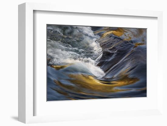 Deschutes Rapids in Bend-David Lorenz Winston-Framed Giclee Print