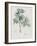 Description des plantes rares que l'on cultive à Navarre et à Malmaison-Pierre-Joseph Redouté-Framed Giclee Print