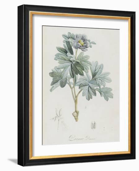 Description des plantes rares que l'on cultive à Navarre et à Malmaison-Pierre-Joseph Redouté-Framed Giclee Print