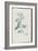 Description des plantes rares que l'on cultive à Navarre et à Malmaison-Pierre-Joseph Redouté-Framed Giclee Print