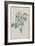 Description des plantes rares que l'on cultive à Navarre et à Malmaison-Pierre-Joseph Redouté-Framed Giclee Print