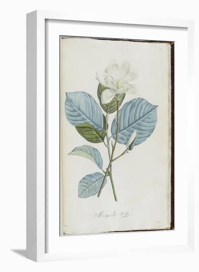 Description des plantes rares que l'on cultive à Navarre et à Malmaison-Pierre-Joseph Redouté-Framed Giclee Print