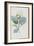 Description des plantes rares que l'on cultive à Navarre et à Malmaison-Pierre-Joseph Redouté-Framed Giclee Print