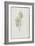 Description des plantes rares que l'on cultive à Navarre et à Malmaison-Pierre-Joseph Redouté-Framed Giclee Print