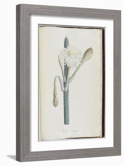 Description des plantes rares que l'on cultive à Navarre et à Malmaison-Pierre-Joseph Redouté-Framed Giclee Print